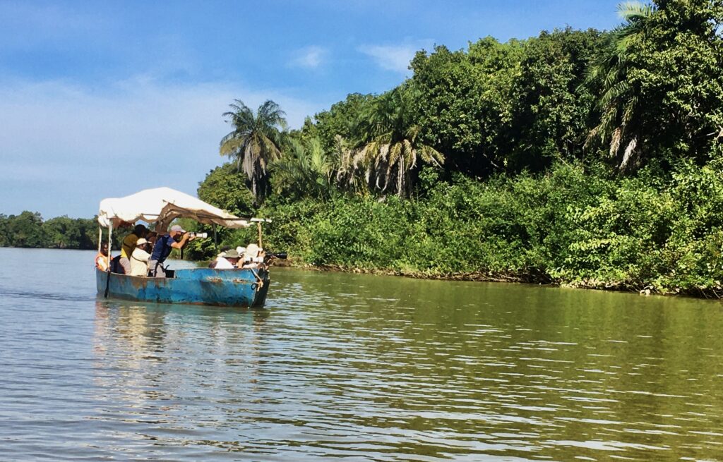 Vogels kijken op de Gambia rivier - SparrowBirding