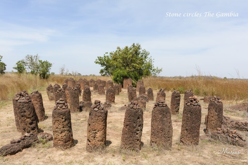Stone circles - Up River Gambia with SparrowBirding